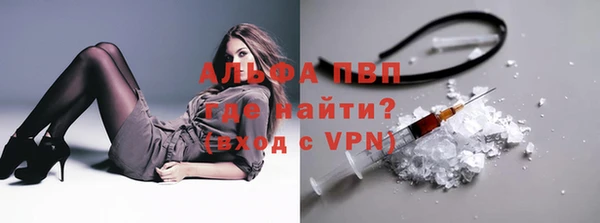 a pvp Коряжма