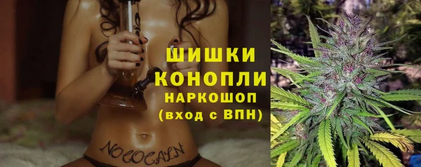 a pvp Коряжма